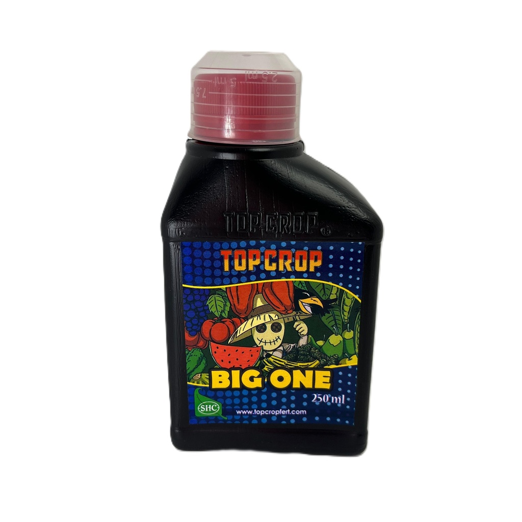 FERTILIZANTE TOP CROP BIG ONE 250ML