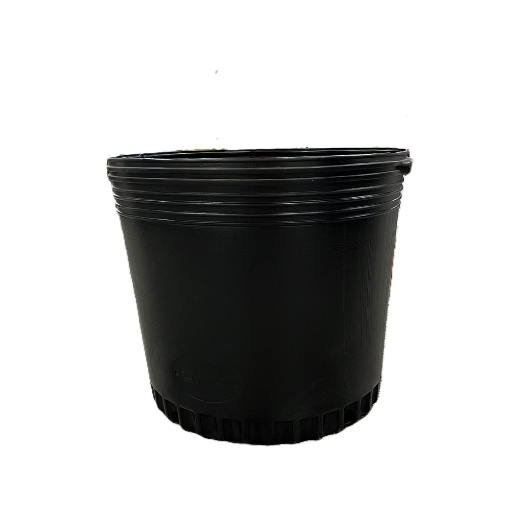 MACETA SOPLADA VARIOS 50L