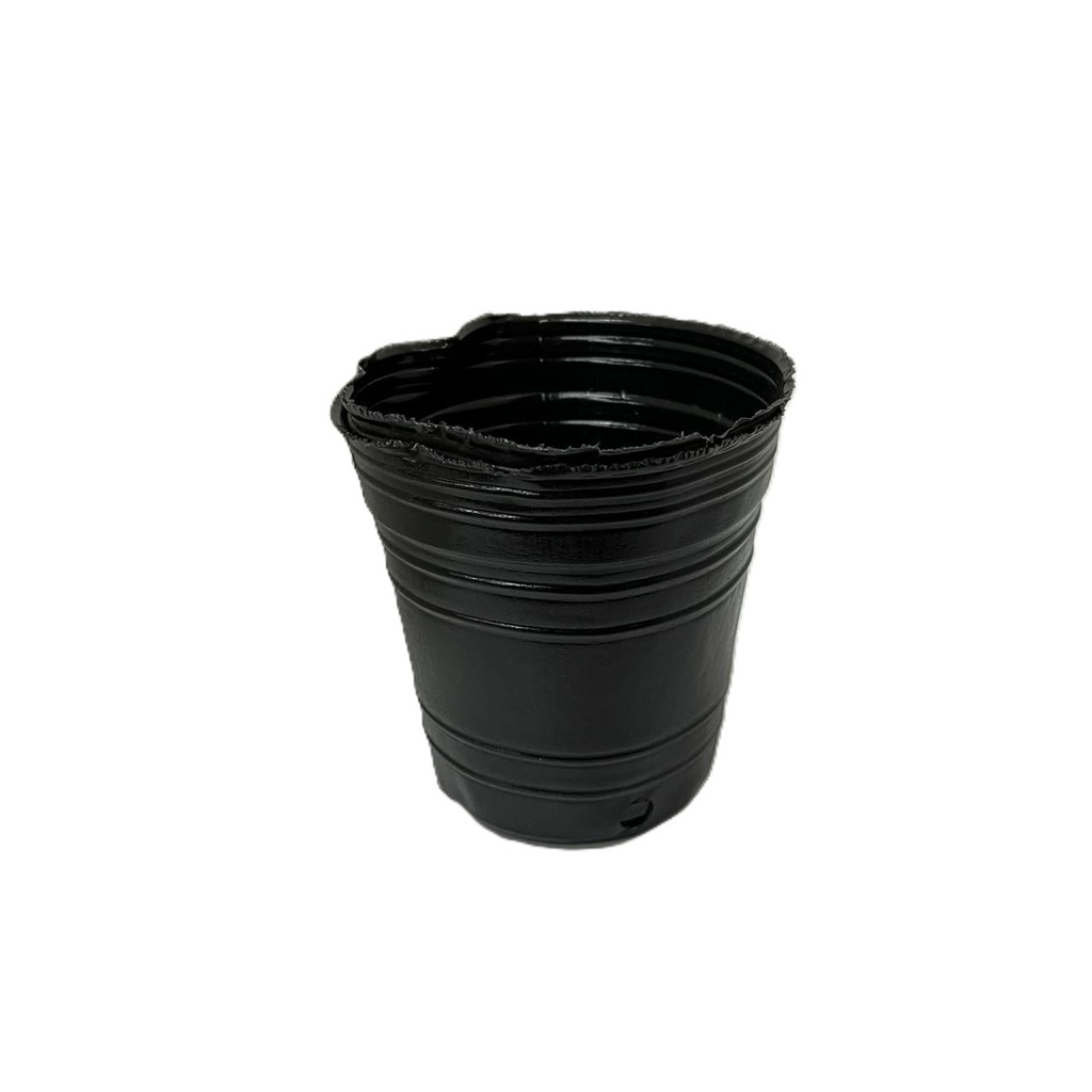 MACETA SOPLADA VARIOS 750CC