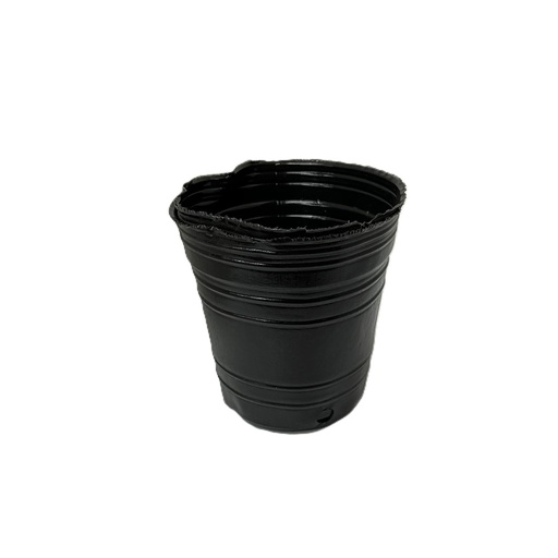 [1355] MACETA SOPLADA VARIOS N10 9X9